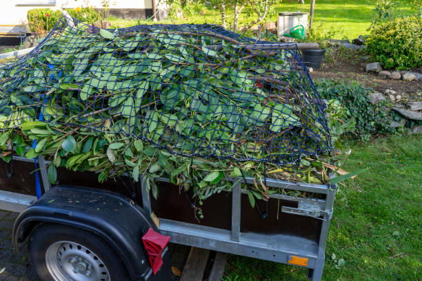Best Shed Removal  in Whitesboro, AL